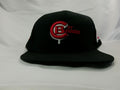 Flint Themed Baseball Caps, "Flintstone" Series Flint, MI Collectable Caps