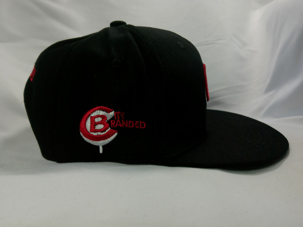 Flint Themed Baseball Caps, "Flintstone" Series Flint, MI Collectable Caps